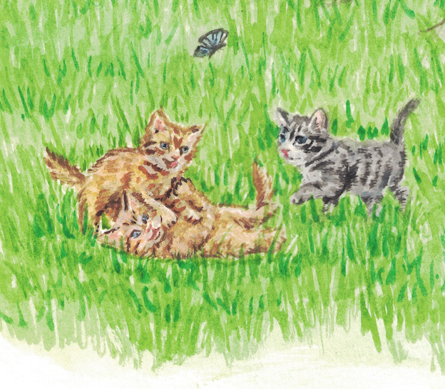 Kittens playing by the swing