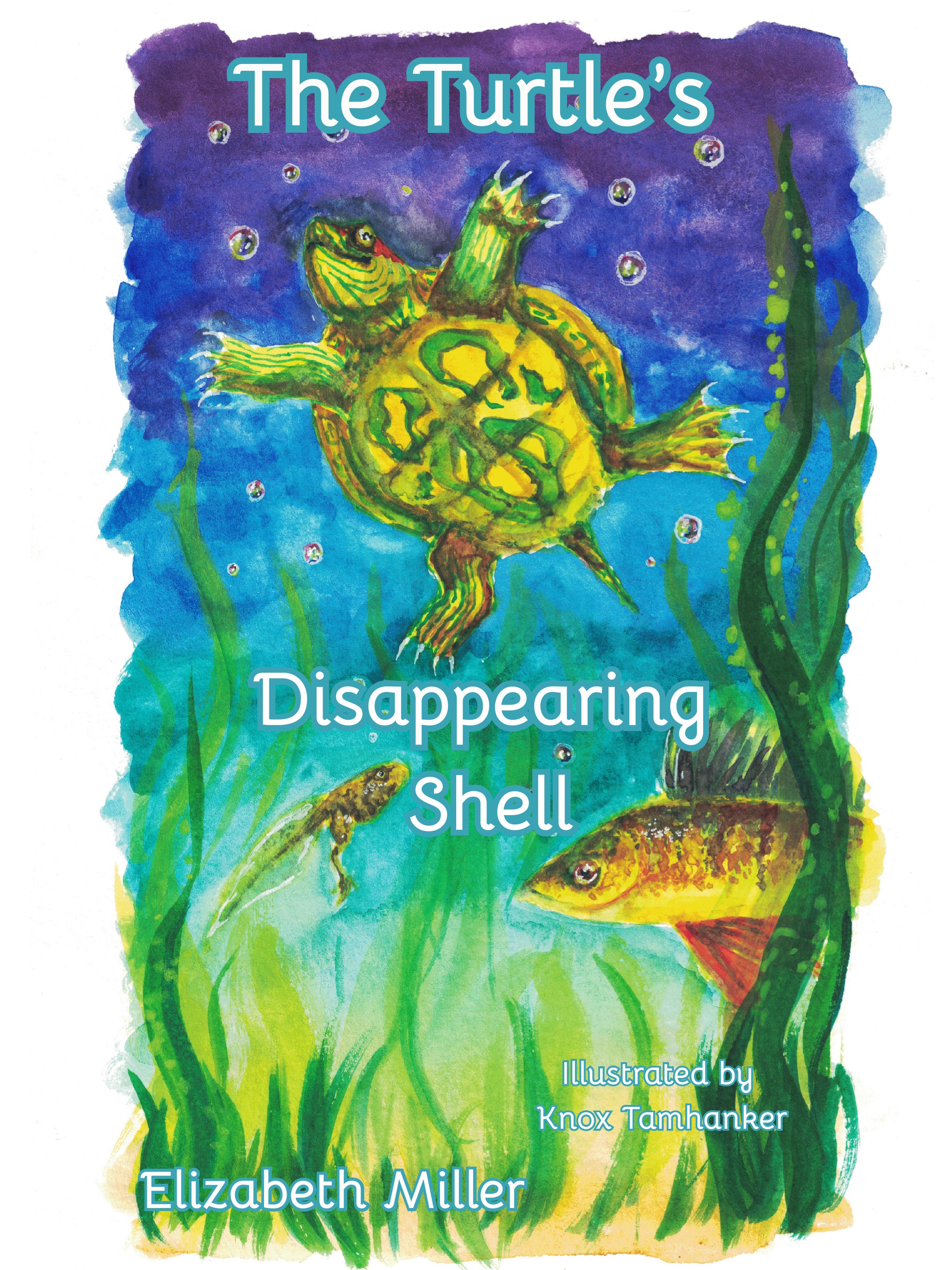 The Turtle's Disappearing Shell