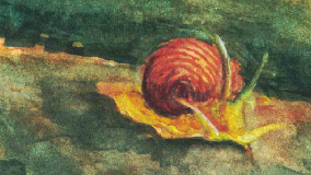 Snail on a leaf