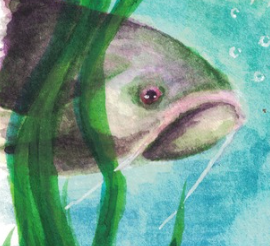 Fish underwater