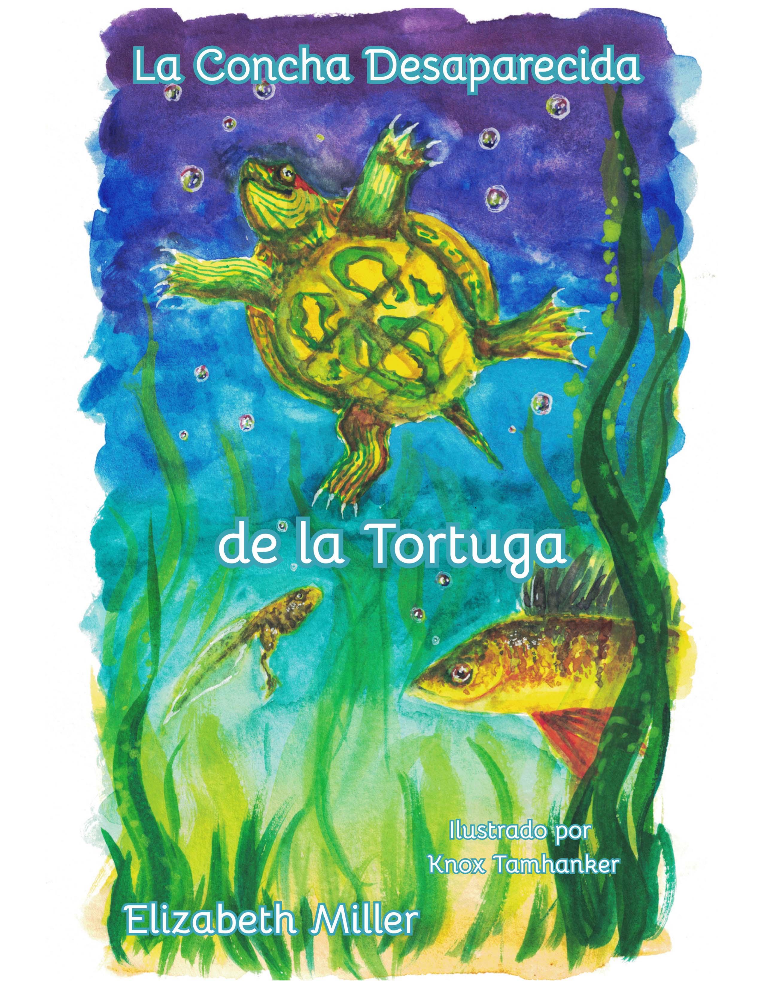 La Concha Desaparecida de la Tortuga